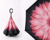 Inside out umbrellas 