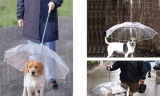 Pet Dog Umbrella