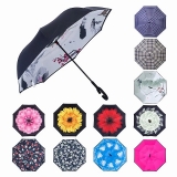 Double Kazbrella Umbrella New Color
