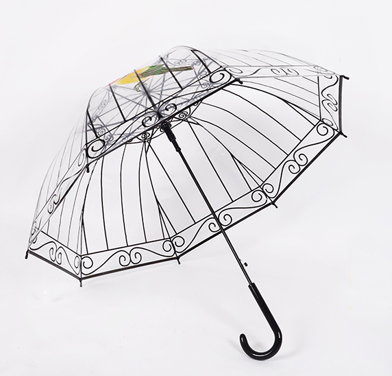 Transparent Umbrella