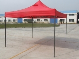 Custom Umbrellas for Business Promotion