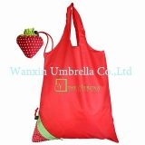 ECO Reusable Folding Mall Bag
