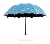 Rain Umbrella