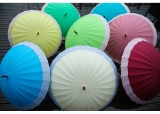 Japan Sakura Lady Long Umbrellas