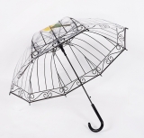 Transparent Umbrella