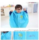 RainCoat